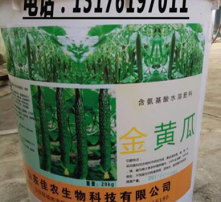 高清圖片展示生物質能技術服務 綠色能源的未來藍圖